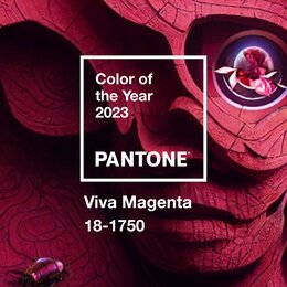 Pantone представил цвет 2023 года — Viva Magenta