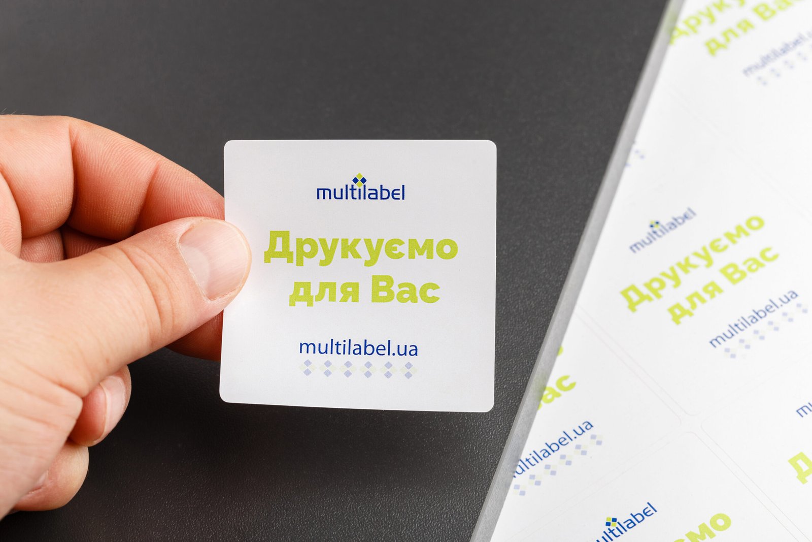 MULTILABEL